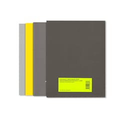 PRINTS AND MULTIPLES/ANNA BLESSMANN AND PETER SAVILLE [SPECIAL EDITION]